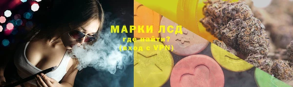 хмурый Инсар