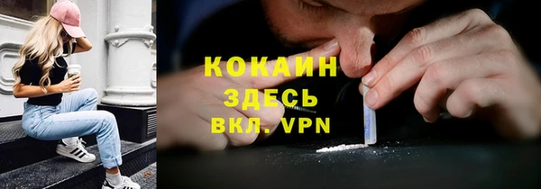 хмурый Инсар