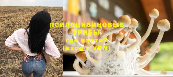 хмурый Инсар