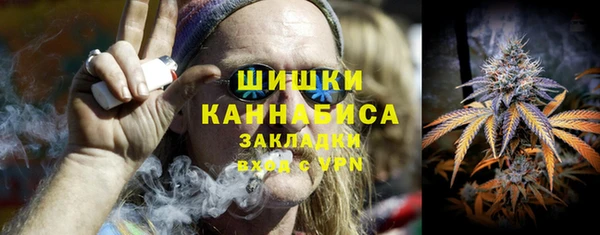хмурый Инсар