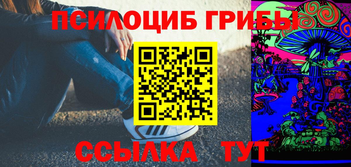 Псилоцибиновые грибы GOLDEN TEACHER Канаш